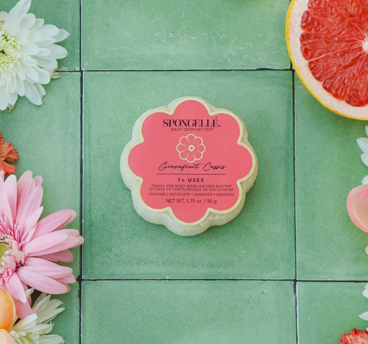 Spongette Soap Sponge