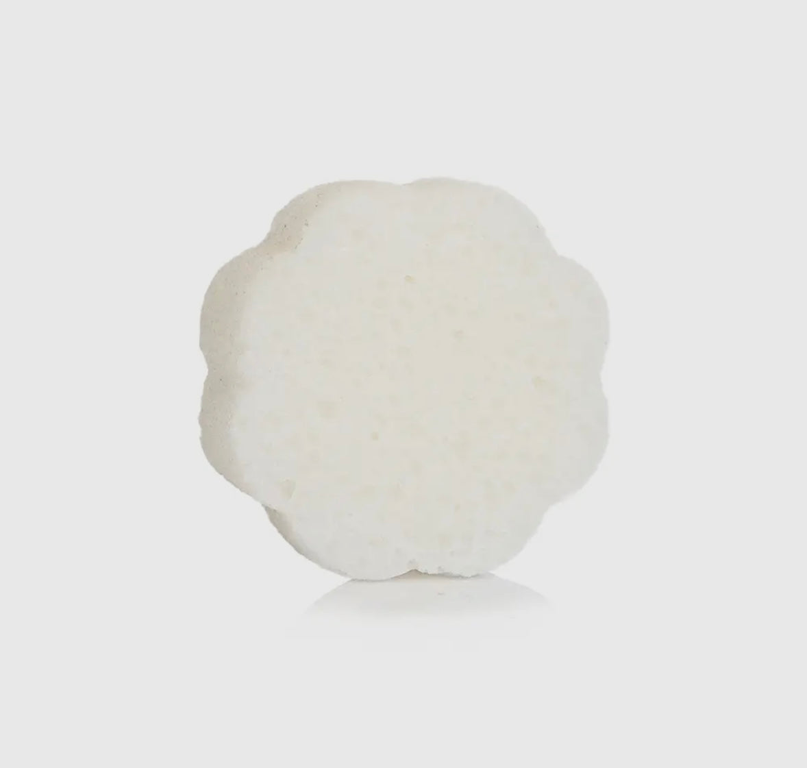 Spongette Soap Sponge